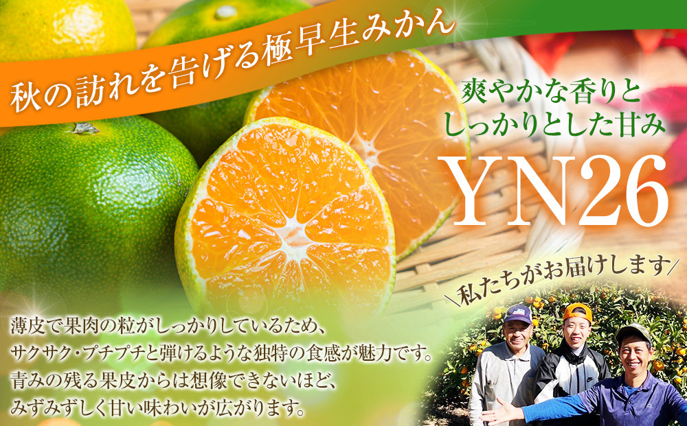 こだわりの極早生みかんYN26 5kg 3S～Mサイズいずれか