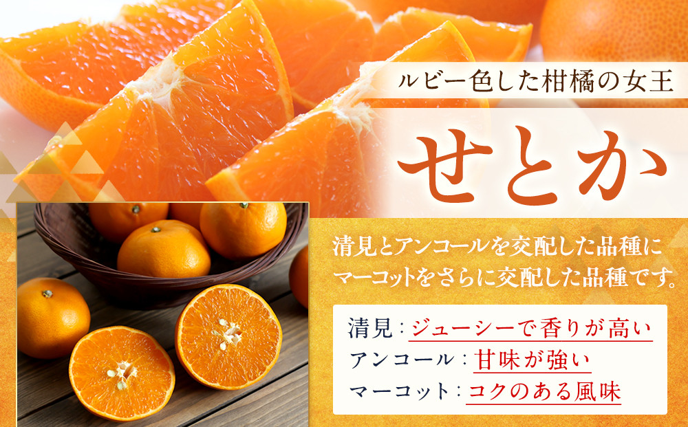 訳あり せとか 1kg M～2Lサイズおまかせ 高石垣ファーム