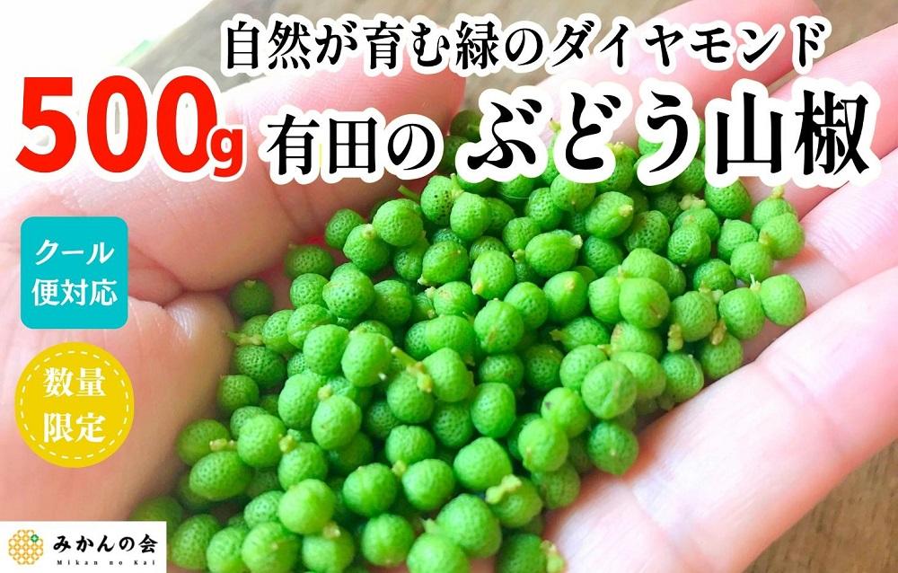 ［5月下旬出荷予定］ぶどう山椒  500g 実山椒 生山椒 クール便対応 和歌山県産