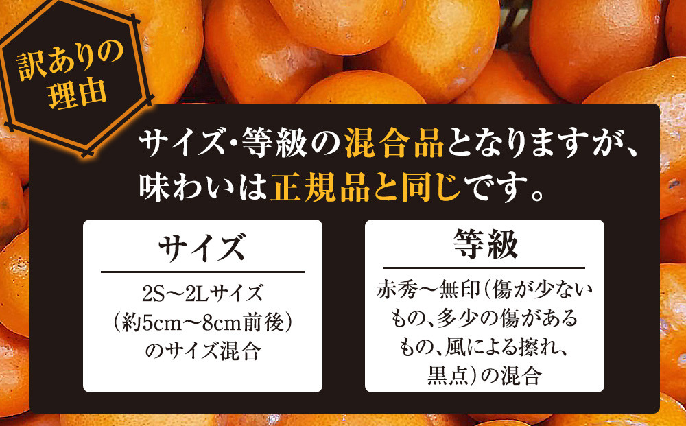 譛臥伐縺ソ縺九s蟆る摩蠎 譛臥伐縺ョ螟ェ髯スツョ繝輔ぃ繝溘Μ繝シ 譌ゥ逕溘∪縺溘ッ譎ゥ逕 譛臥伐縺ソ縺九s 4.5kgシ玖」懷─蛻100g 螻ア謗。繧後サ繧オ繧、繧コ繝サ遲臥エ 豺キ蜷