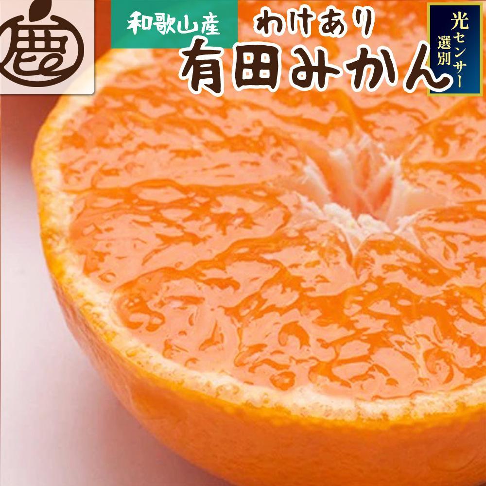 ［先行予約］家庭用 熟成有田みかん 2.5kg+250g（傷み補償分）