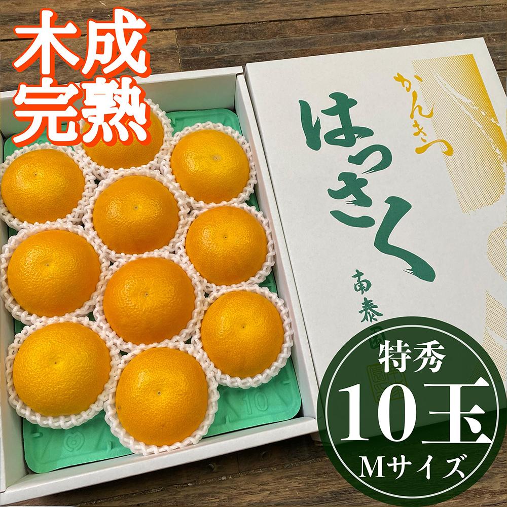 4月 まで 木成 完熟 させた 有田 はっさく 特秀 M × 10玉 化粧箱 南泰園 みかん