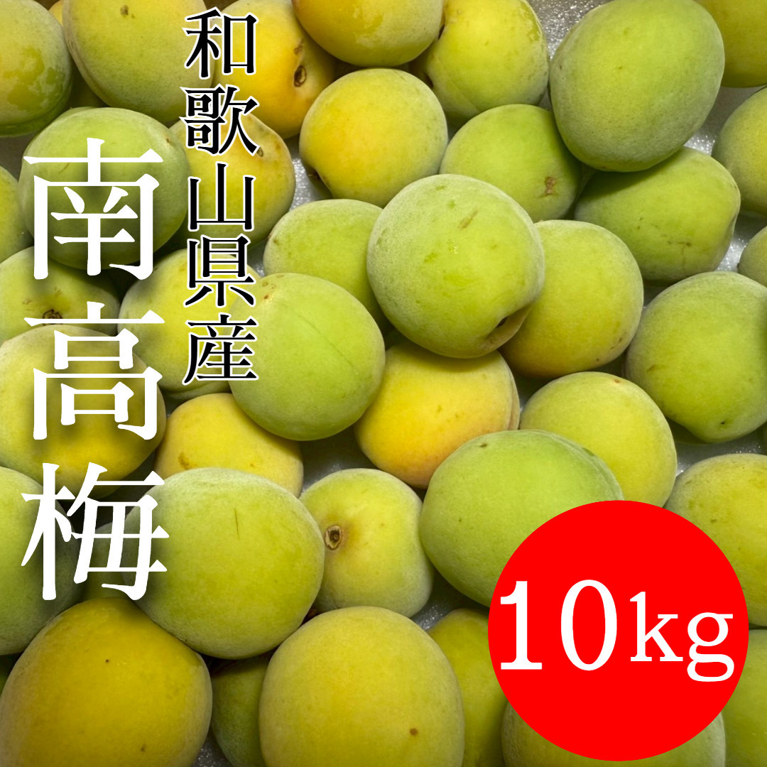 青梅 南高梅 10kg