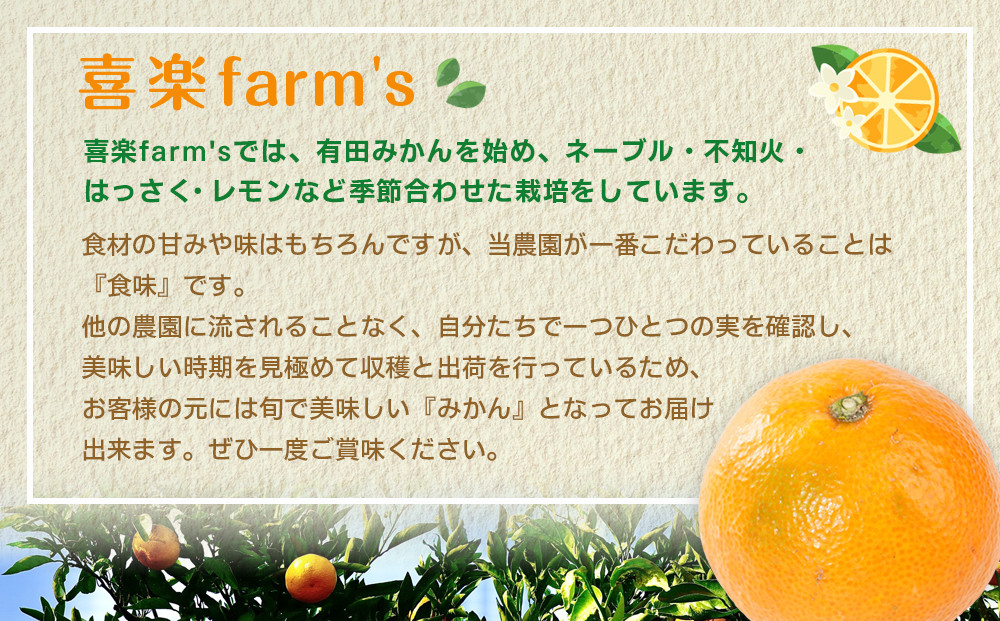 産地直送 有田みかん サイズ 不揃い 約10kg 喜楽farms 【2026年11月以降順次発送】