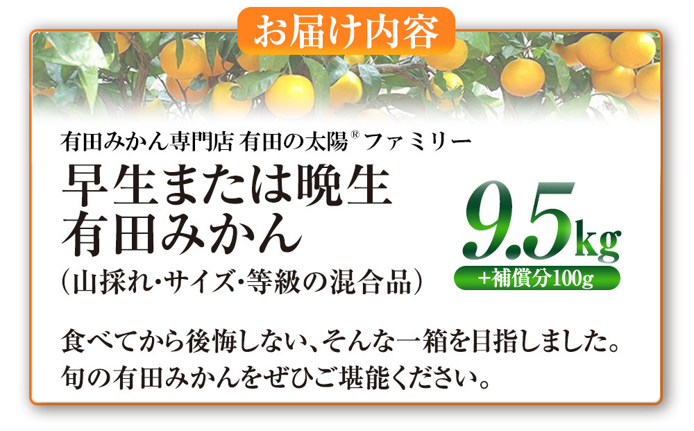 譛臥伐縺ソ縺九s蟆る摩蠎 譛臥伐縺ョ螟ェ髯スツョ繝輔ぃ繝溘Μ繝シ 譌ゥ逕溘∪縺溘ッ譎ゥ逕 譛臥伐縺ソ縺九s 9.5kgシ玖」懷─蛻100g 螻ア謗。繧後サ繧オ繧、繧コ繝サ遲臥エ 豺キ蜷
