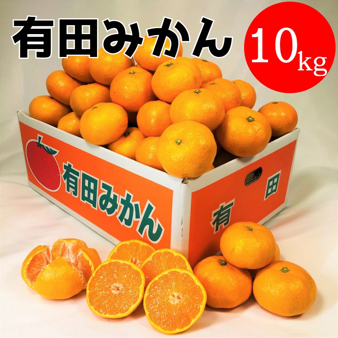 有田みかん 10kg (約89個～95個)