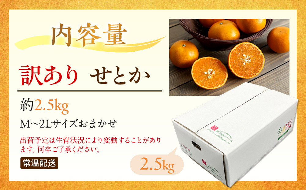 訳あり せとか 2.5kg M～2Lサイズおまかせ 高石垣ファーム