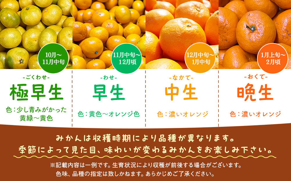 みかん うま採り 箱込約 1kg（内容量0.9kg） 光センサー選別 みかんの会厳選 サイズミックス 和歌山県産 産地直送 【みかんの会】［2026年11月中旬より順次出荷予定］