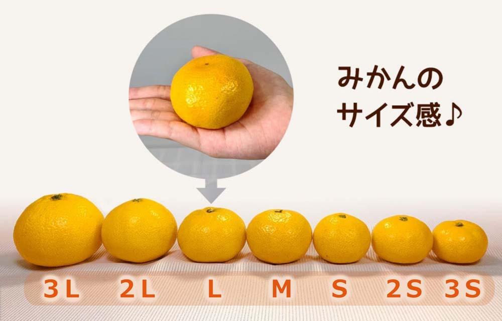 èš³ãã ããæ©ç ã¿ãã 箱蟌10kg(å
容é 9.2kg)ãµã€ãºããã¯ã¹ æç°ã¿ãã åæå±±çç£ ãã¿ããã®äŒã2026幎10æäžæ¬é ããé æ¬¡çºéäºå®ïŒœ