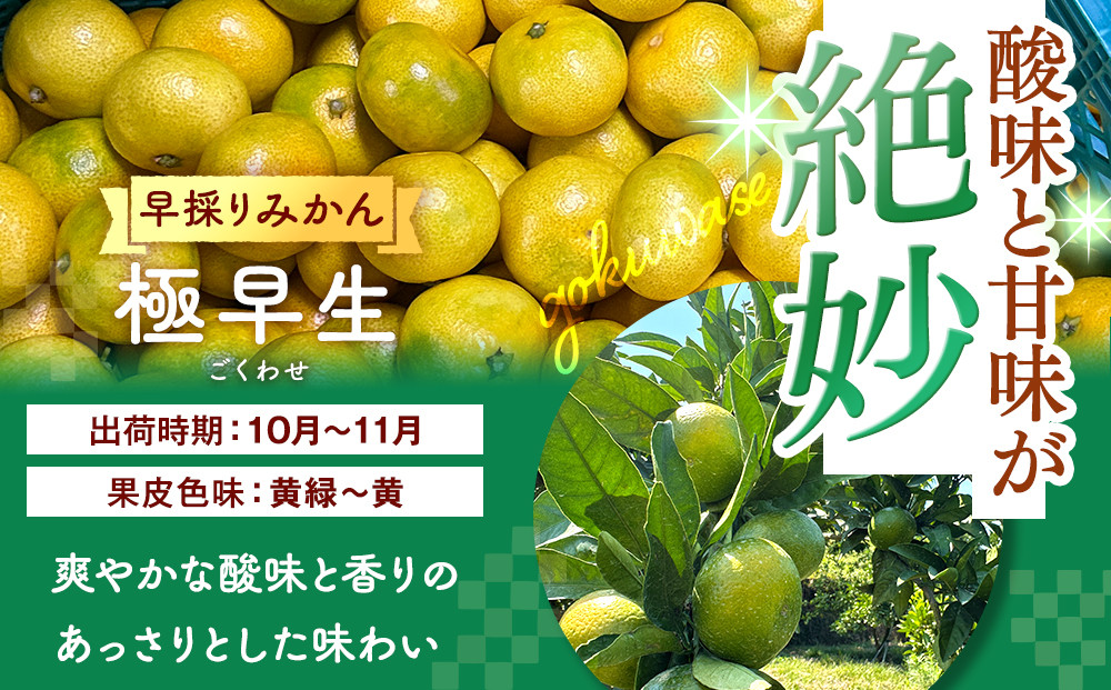 ã¿ãã æ¥µæ©ç å±±ããçŽé 箱蟌 2.5kg (å
容éçŽ 2.3kg) æ¡ãããŠãã®ãŸãŸããããèŠæ Œ æç°ã¿ãã åæå±±çç£ ãã¿ããã®äŒã2026幎10æäžæ¬é ããé æ¬¡çºéäºå®ïŒœ