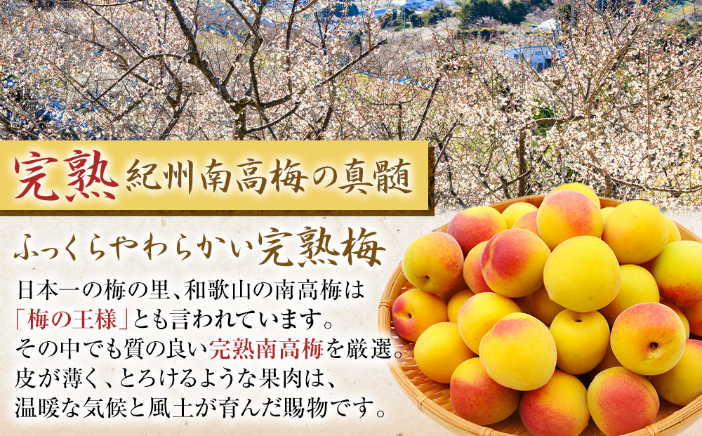 譴蟷イ縺 迪ソ譴 縺ッ縺。縺ソ縺、譴 蝪ゥ蛻8シ 900g
