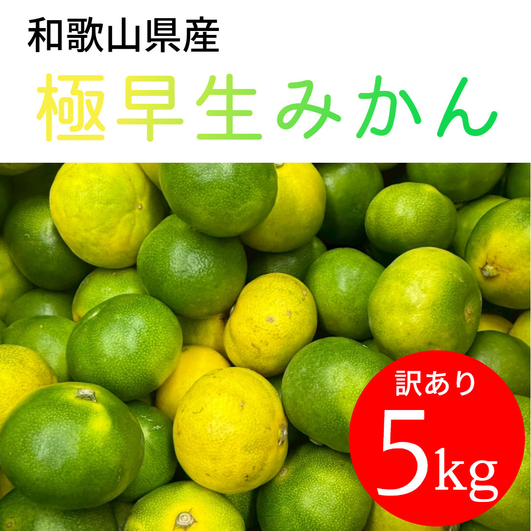 家庭用 和歌山県産 極早生みかん 5kg