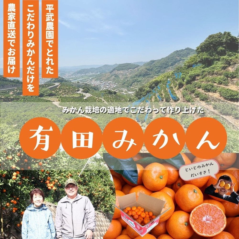 農家直送！なつみオレンジ 小玉3kg【平武農園】～蛍飛ぶ町から旬の便り～