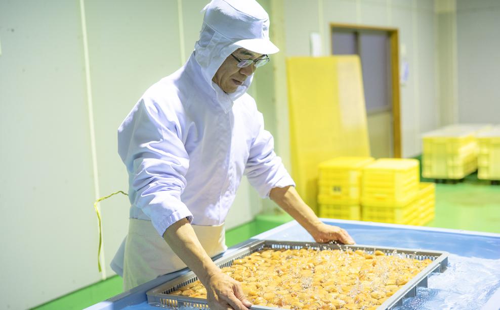 逋セ遖乗「 譛臥伐縺ソ縺九s陷り惧譴蟷イ 500ス