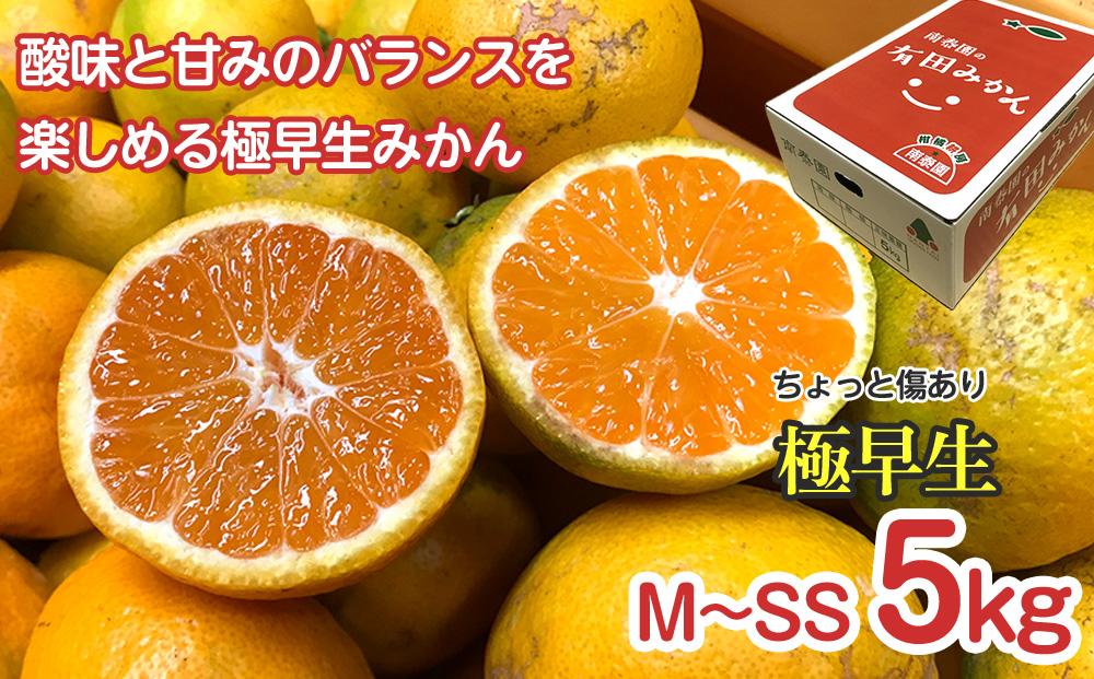 螳壽悄萓ソ 縺。繧縺」縺ィ 蛯キ縺ゅj 5kg テ3 蝗 繧ウ繝シ繧ケ 譛臥伐縺ソ縺九s 鬟溘∋縺上i縺ケ 3遞ョ 蜈ィ3蝗 蜊玲ウー蝨 縺ソ縺九s