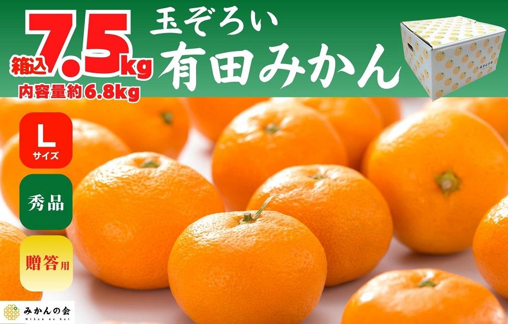 みかん Lサイズ 秀品 箱込 7.5kg (内容量約 6.8kg) 有田みかん 和歌山県産 産地直送 贈答用 ［2026年11月中旬より順次出荷予定］［みかんの会］