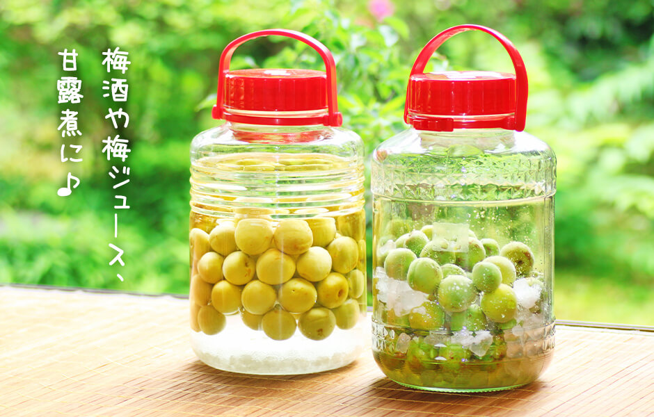 ［2026年6月上旬出荷］青梅 南高梅 3kg 秀品 3Lまたは2Lサイズ 和歌山県産 A品 梅酒作り用 梅ジュース作り用