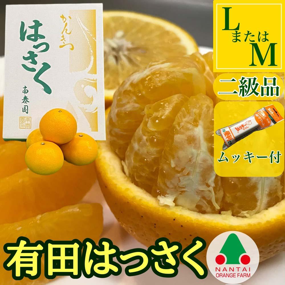 手詰め 有田 はっさく L × 8玉 または M × 10玉 サイズ ちょっと 傷あり ムッキー 同梱 南泰園 みかん