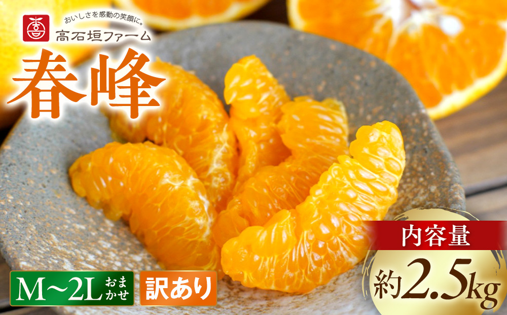 訳あり 春峰 2.5kg M～2Lサイズおまかせ 高石垣ファーム