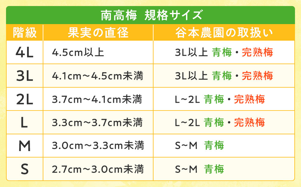 手もぎ 青梅 南高梅 20kg L～2Lサイズ 谷本農園