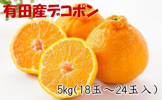 ［お味濃厚］紀州有田産のデコポン約5kg(18玉～24玉入り・青秀以上)★2027年2月中旬頃より順次発送［TM26w］