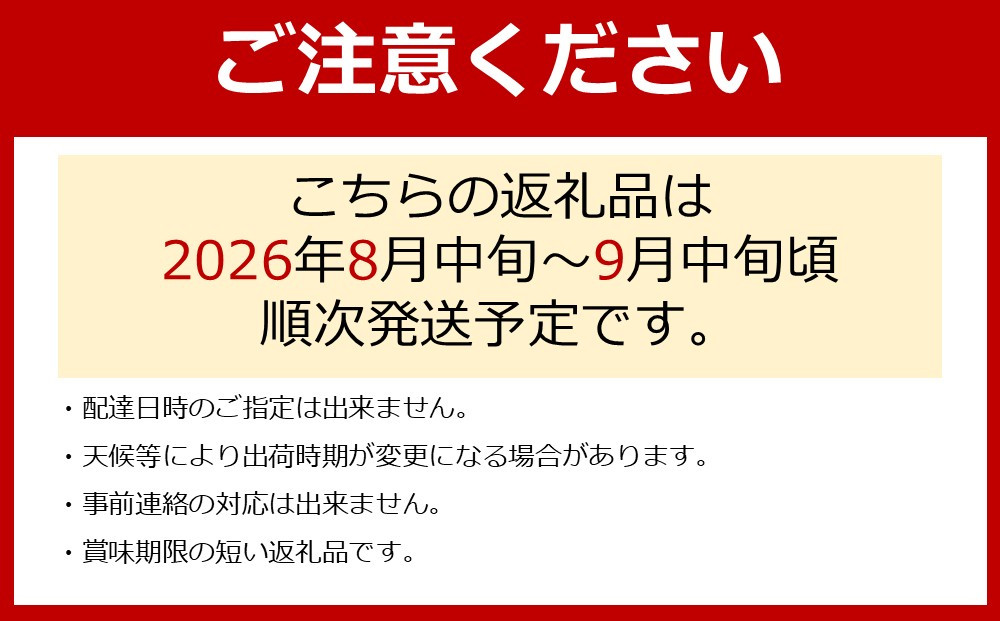 【先行予約】朝採り 巨峰 約1kg (2～3房) 有田巨峰村 大南農園【2026年8月中旬頃より順次発送】