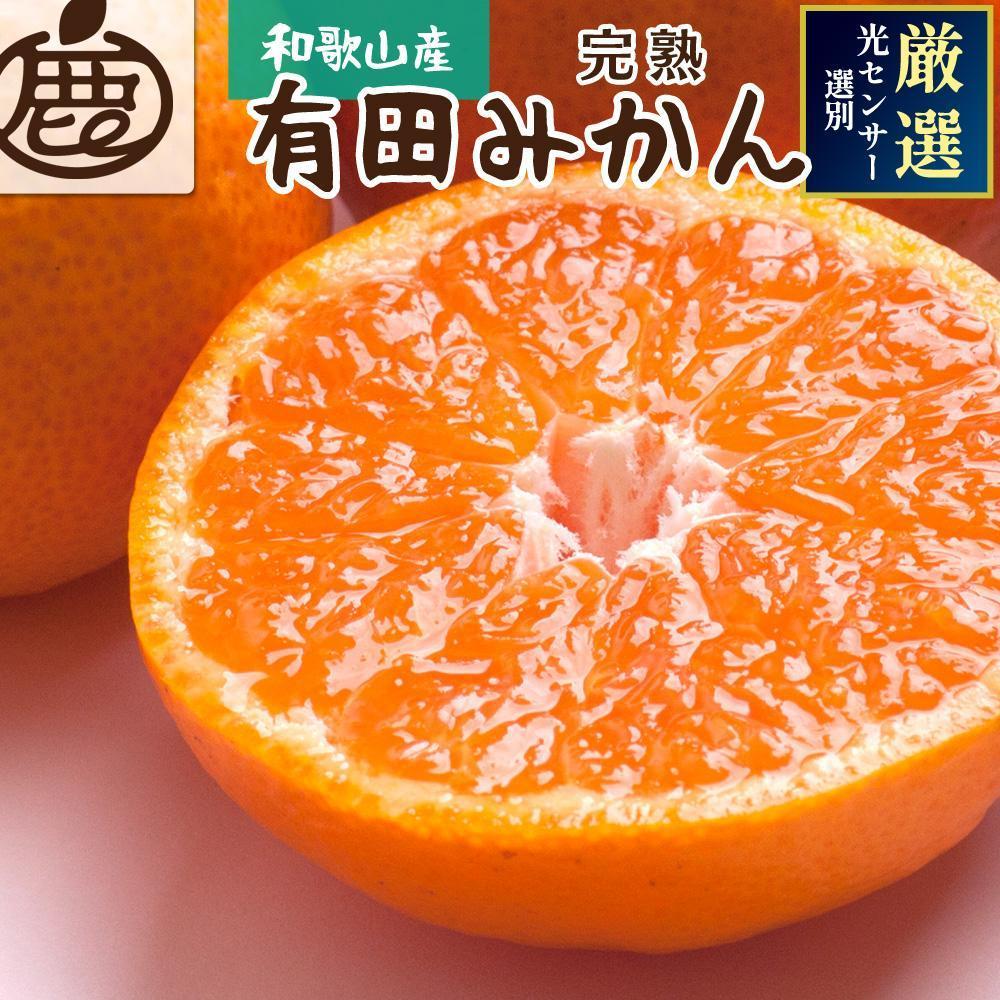 ［先行予約］プレミアム 有田みかん（完熟）2.5kg+250g（傷み補償分）