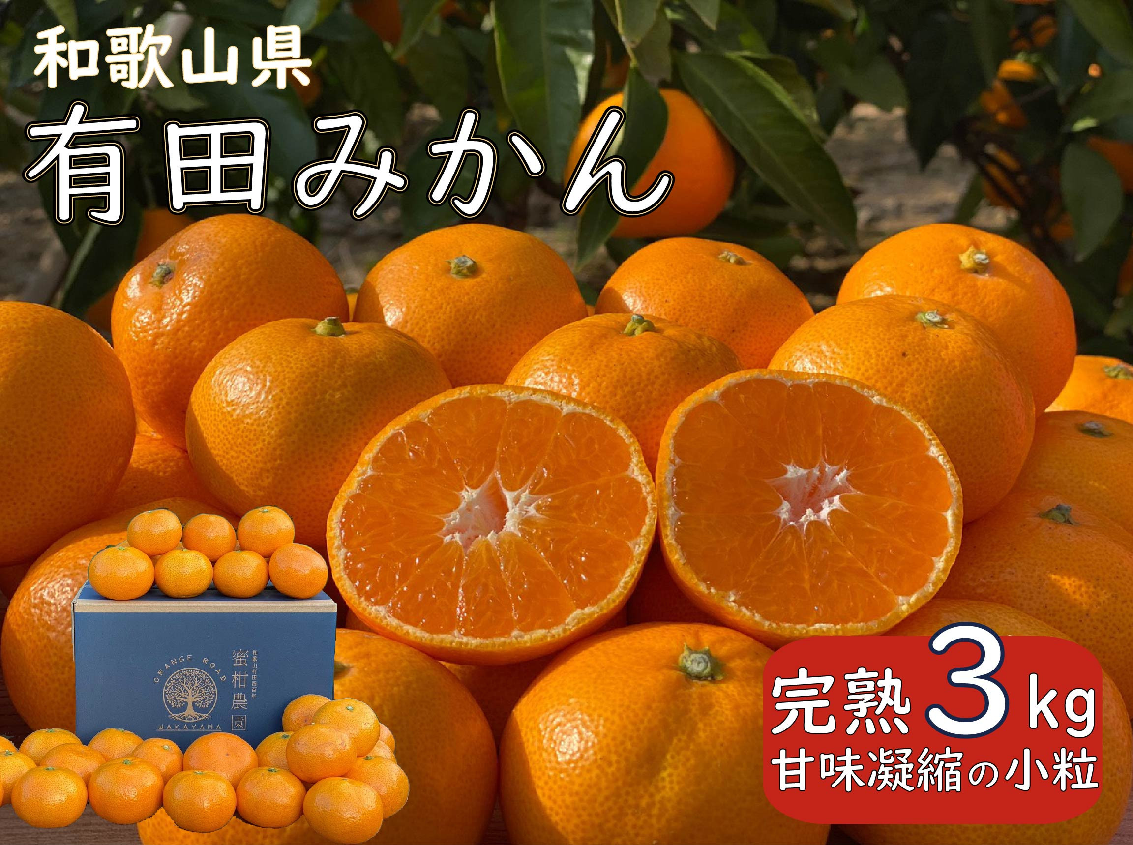 完熟 小粒 有田みかん 3kg 甘味凝縮 和歌山県産 産直45年 武内園