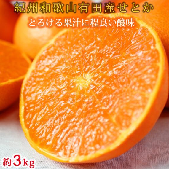 季節の柑橘定期便（みかん・不知火・せとか） 全3回 【1・2・3月発送】