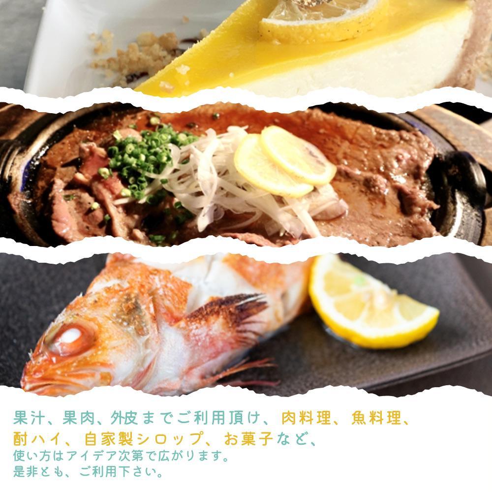 遘蜩 邏蟾樊怏逕ー逕」繝ャ繝「繝ウ 2.5kgシサ2027蟷エ3譛井ク頑流莉・髯咲匱騾シスシサ蜈郁。御コ育エシス