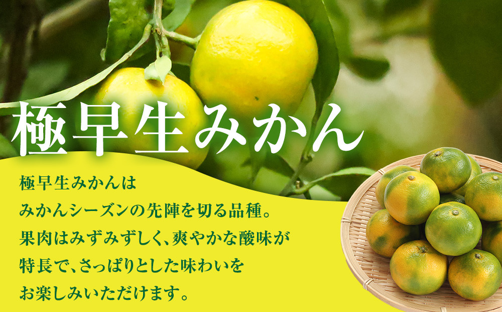 有田みかん専門店 有田の太陽®ファミリー 極早生 有田みかん 2.5kg＋補償分100g 山採れ・サイズ・等級 混合