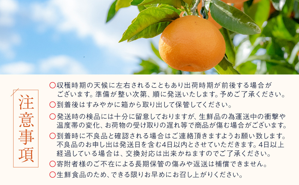 有田みかん しにせの味 約5kg 2S～2Lのいずれか 秀品または優品