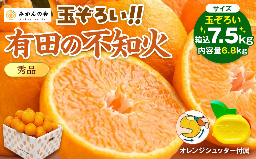 不知火 (しらぬい) 秀品 玉ぞろい 箱込 7.5kg (内容量約6.8kg)  和歌山県産 産地直送［みかんの会］