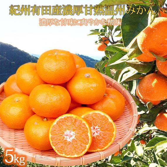 縲8繝サ9繝サ12譛 蜈ィ3蝗槭醍エ蟾樒肇 蟾ィ蟲ー縺ィ繝輔Ν繝シ繝螳壽悄萓ソAシ亥キィ蟲ー繝サ譴ィ繝サ縺ソ縺九sシ 縲宣ュ夐カエ蝠蠎励