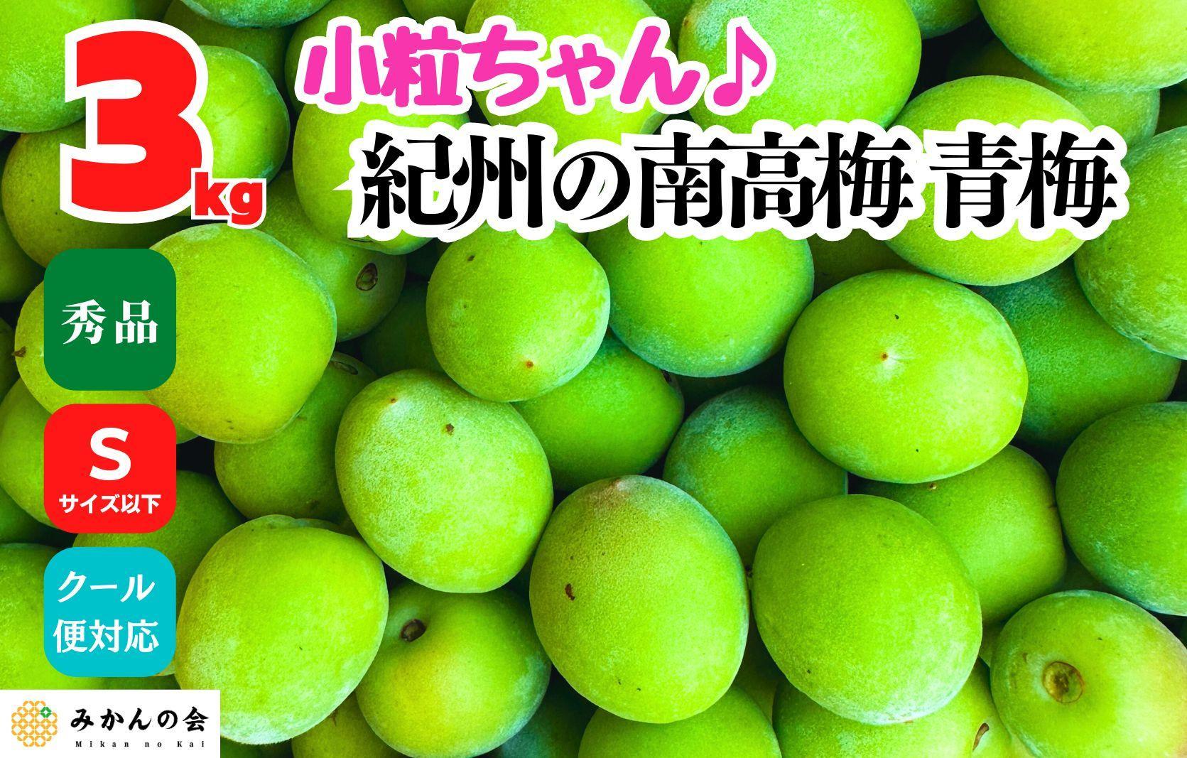 ［2026年6月上旬出荷］南高梅 青梅 秀品 小粒ちゃん 約3kg Sサイズ以下 和歌山県産 紀州有田 産地直送 クール便対応 梅酒作り用 梅ジュース作り用