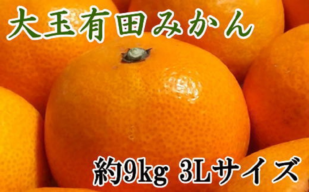 ［食べごたえ十分］和歌山有田みかん大玉約9kg(3Lサイズ・秀品）★2026年11月中旬頃より順次発送