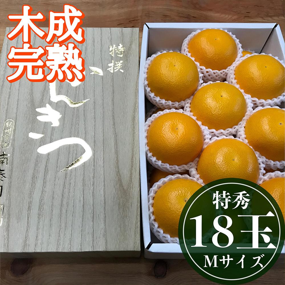 4月 まで 木成 完熟 させた 有田 はっさく 特秀 M × 18玉 2段詰 化粧箱 南泰園 みかん