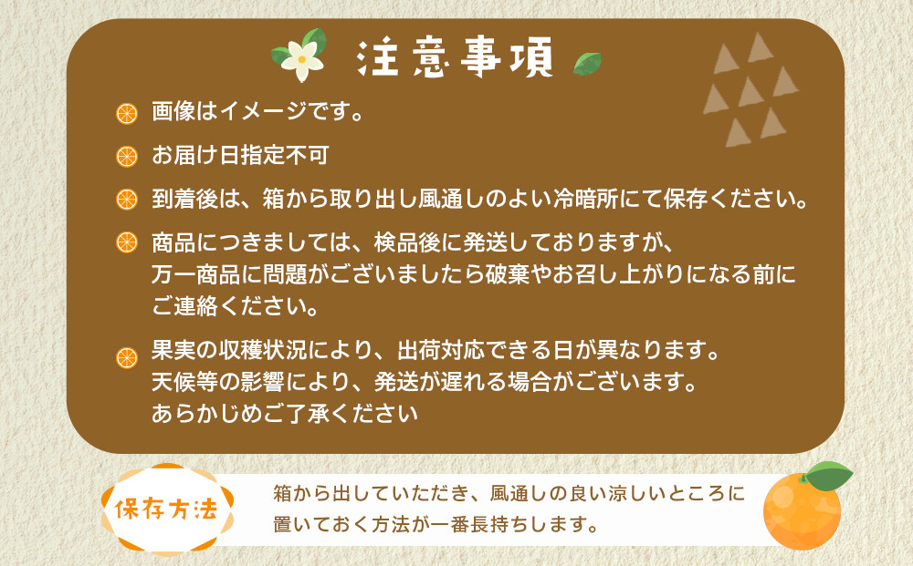 産地直送 有田みかん サイズ 不揃い 約10kg 喜楽farms 【2026年11月以降順次発送】