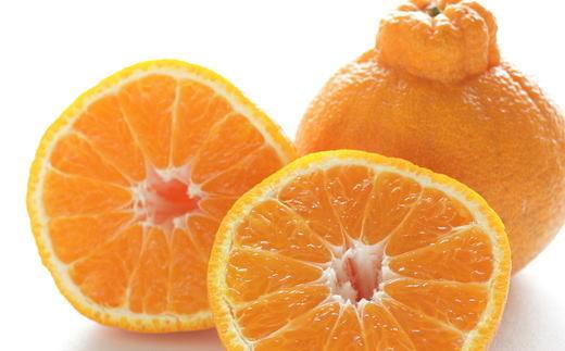 ［濃厚］有田産不知火約4kg（2L～5Lサイズ混合）★2027年2月中旬頃より順次発送