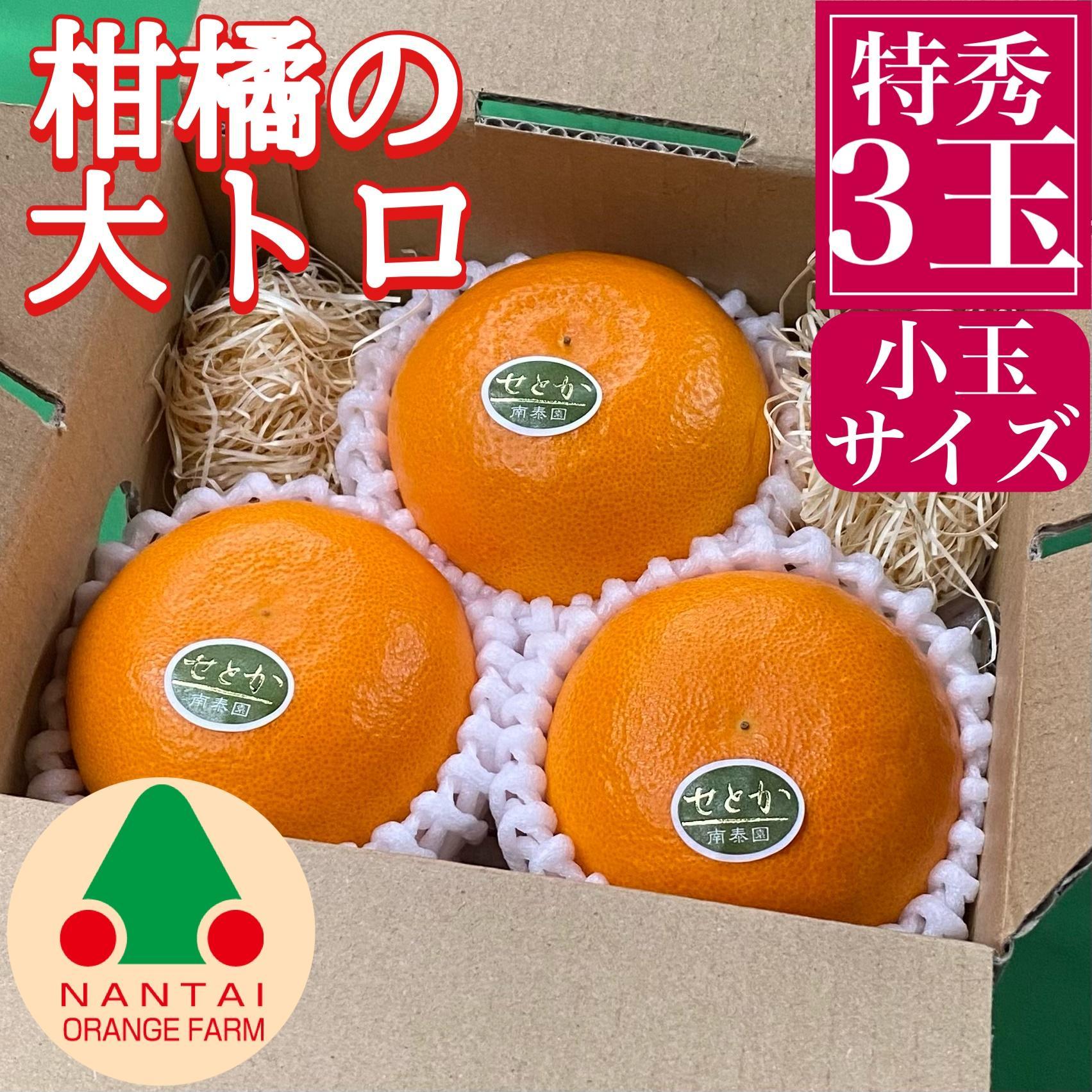 お試し規格 柑橘の大トロ ハウス せとか 厳選 小玉 3玉入 手さげ箱 南泰園 和歌山 有田