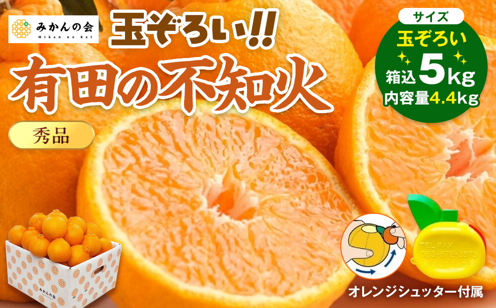 不知火 (しらぬい) 秀品 玉ぞろい 箱込 5kg (内容量約4.4kg)  和歌山県産 産地直送［みかんの会］