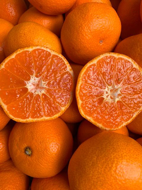 越冬本貯蔵 丹生系みかん（にゅうけい） 約5kg  秀品 2L～3L ［高糖系］［マルシ農園］