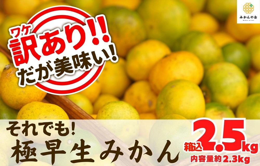 訳あり 極早生 箱込 2.5kg (内容量約 2.3kg) サイズミックス 有田みかん 和歌山県産 【みかんの会】［2026年10月上旬頃より順次発送予定］