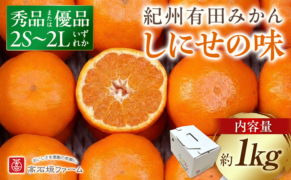 有田みかん しにせの味 約1kg 2S～2Lのいずれか 秀品または優品