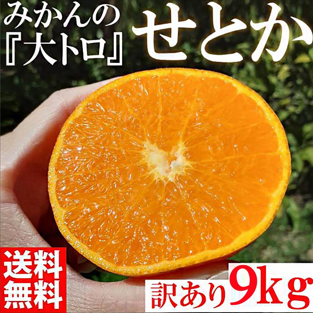 せとか みかんの大トロ 約9kg 訳あり ブランド 和歌山 有田 みかん 農家直送 オレンジ フルーツ 果物