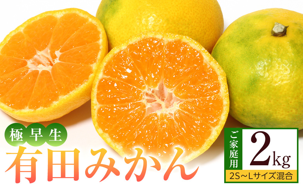 ［先行予約］ご家庭用 極早生 有田みかん 約2kg 2S～Lサイズ混合