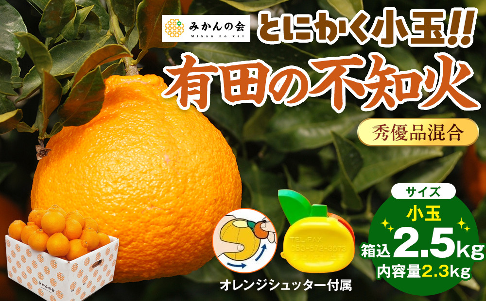 不知火 とにかく 小玉 箱込 2.5kg (内容量約 2.3kg) 秀優品混合 和歌山県産 産地直送［みかんの会］