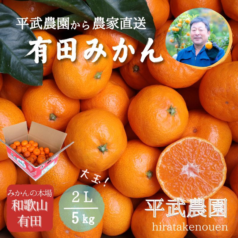 農家直送！有田みかん（5kg 2Lサイズ（大玉）秀品）平武農園　～蛍飛ぶ町から旬の便り～