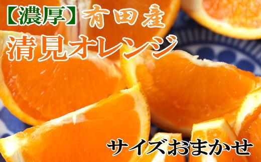［濃厚］有田産清見オレンジ約5kg（サイズおまかせ・青秀以上）★2027年2月下旬頃より順次発送［TM43w］
