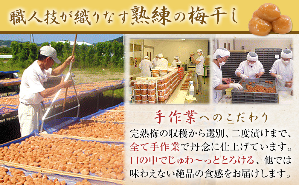 譴蟷イ縺 迪ソ譴 縺ッ縺。縺ソ縺、譴 蝪ゥ蛻8シ 900g